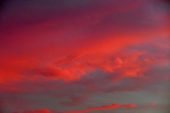 炎夏の夕暮れ