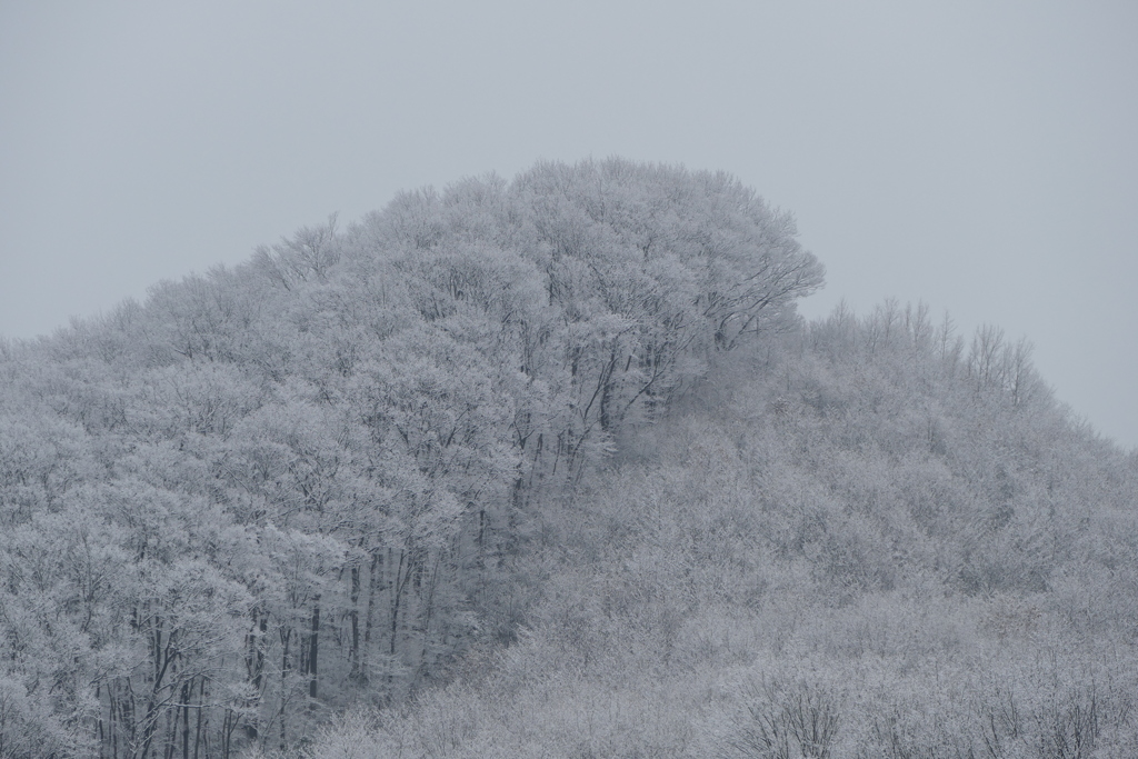雪景色