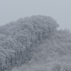 雪景色