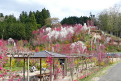 花やしき公園