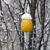 雪景色