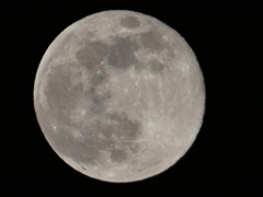 冬の満月(コールドムーン)