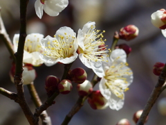春の里山で