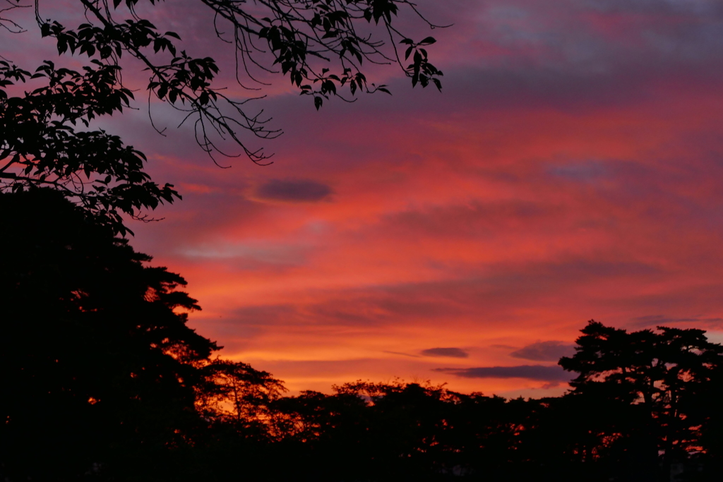 炎夏の夕暮れ