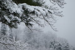 雪景色