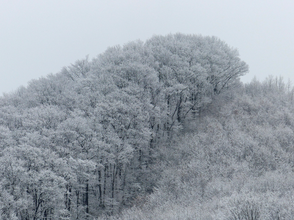 雪景色