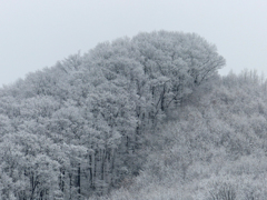 雪景色