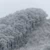 雪景色