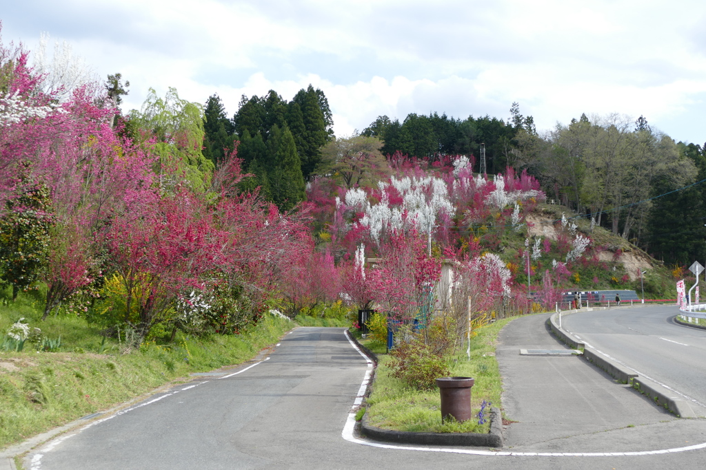 花やしき公園