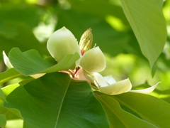 春の里山で