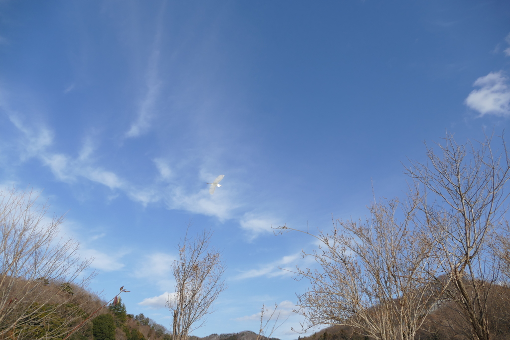 冬晴れ 