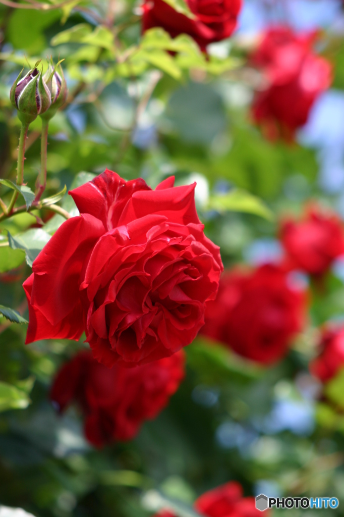 暖かい日差しの下で