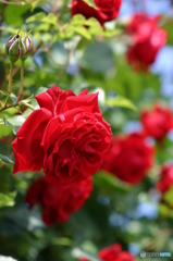 暖かい日差しの下で