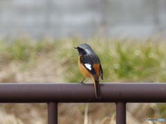 一休み