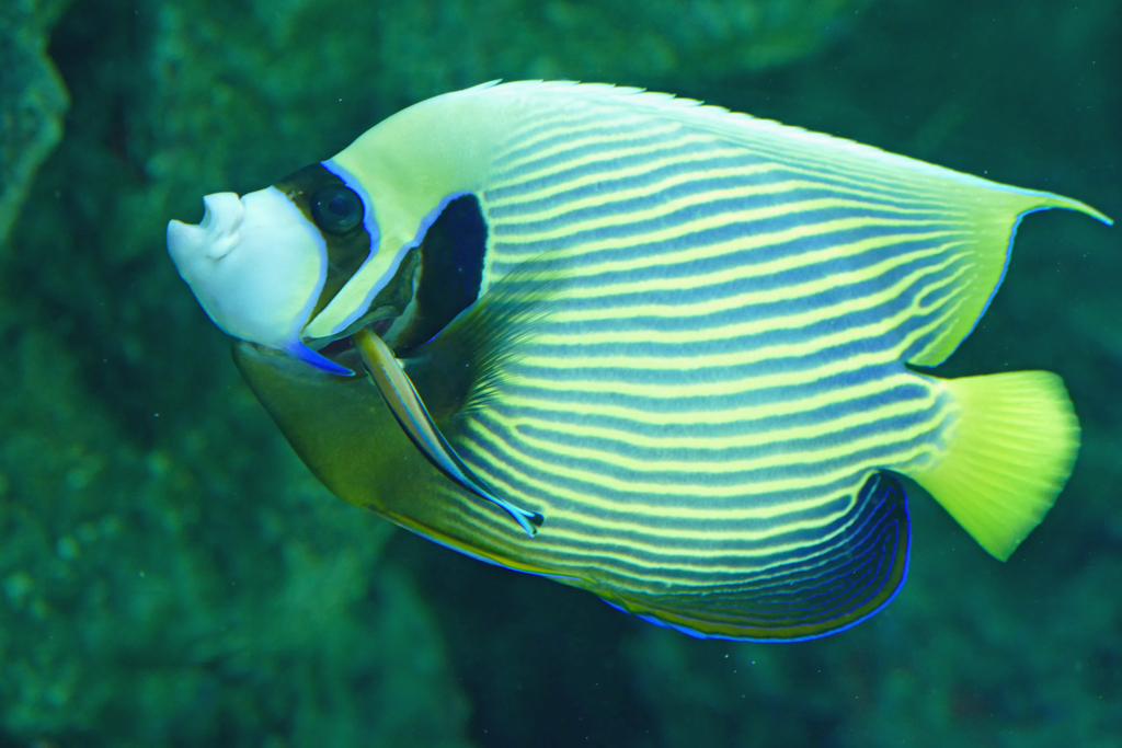 水族館で 
