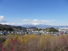 花見山