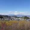 花見山