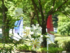 香りにつつまれて2