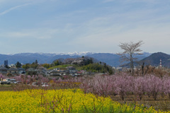 花見山 