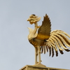 鳳凰