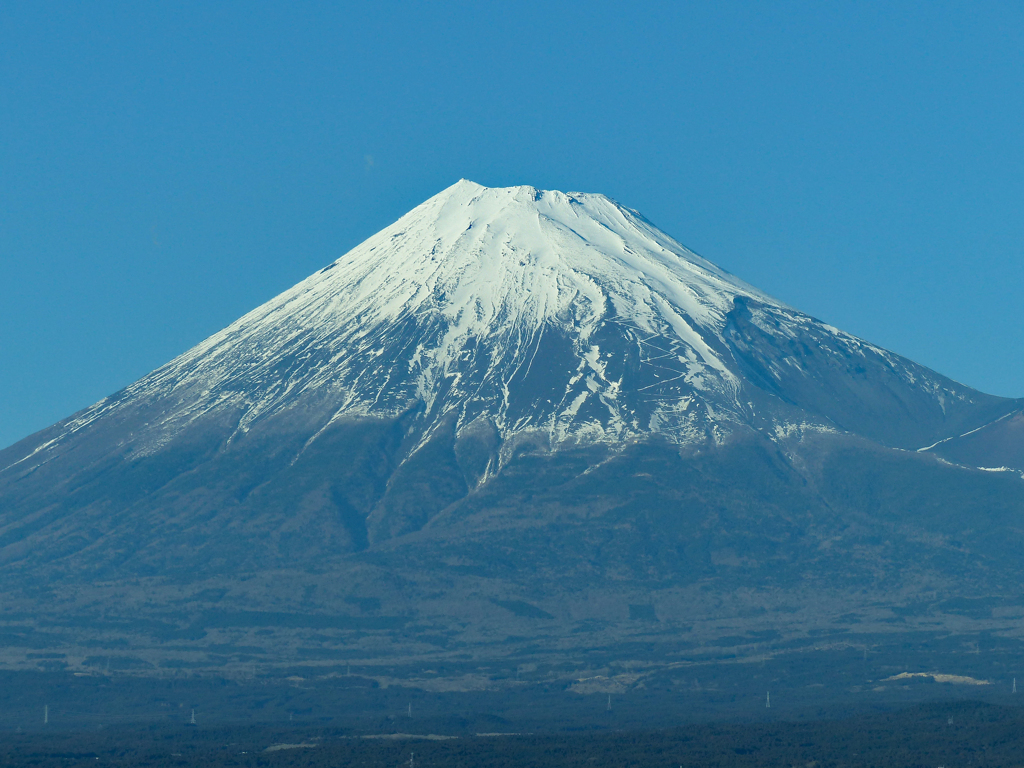 冬の旅　