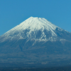 冬の旅　