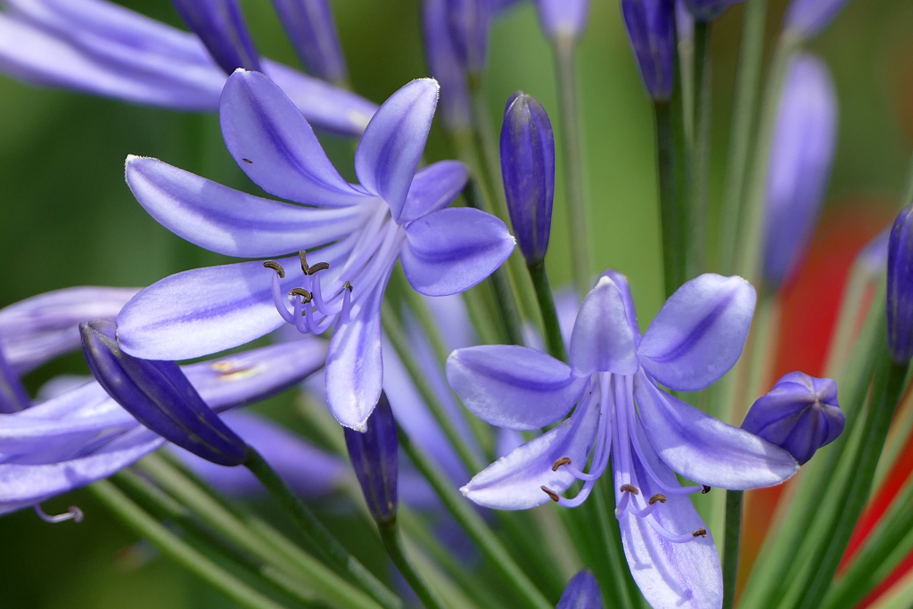 梅雨の晴れ間に