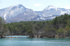 裏磐梯(五色沼)