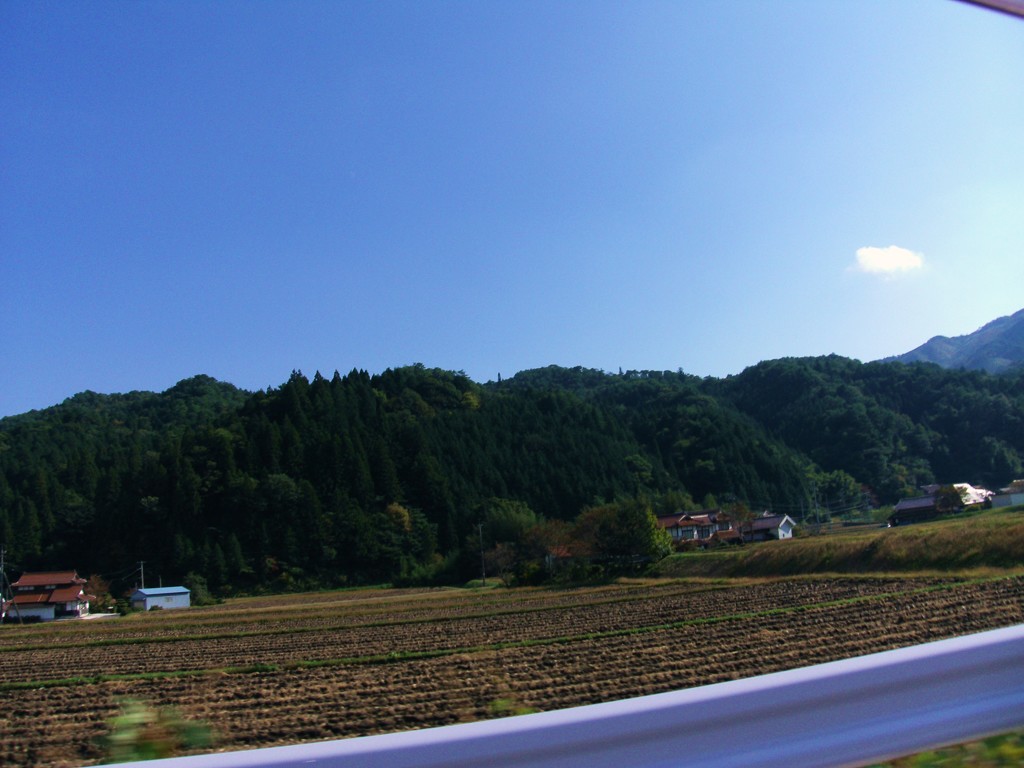 ほのぼの。