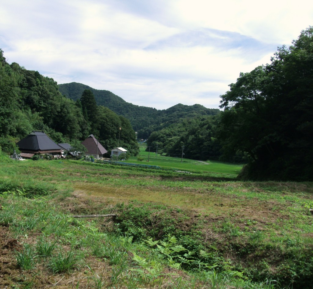 つわの