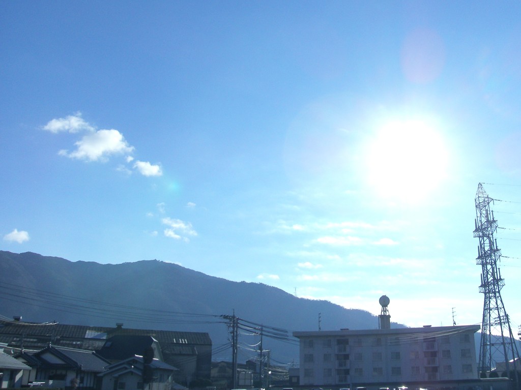 太陽がさんさん。