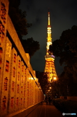 Tokyo tower③
