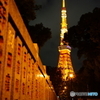 Tokyo tower③