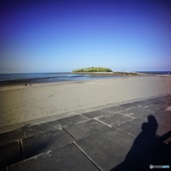 aoshima03