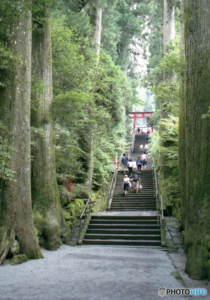 《film》　hakone