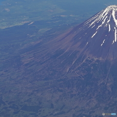 fuji