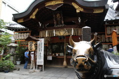 USHI