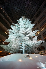 tree