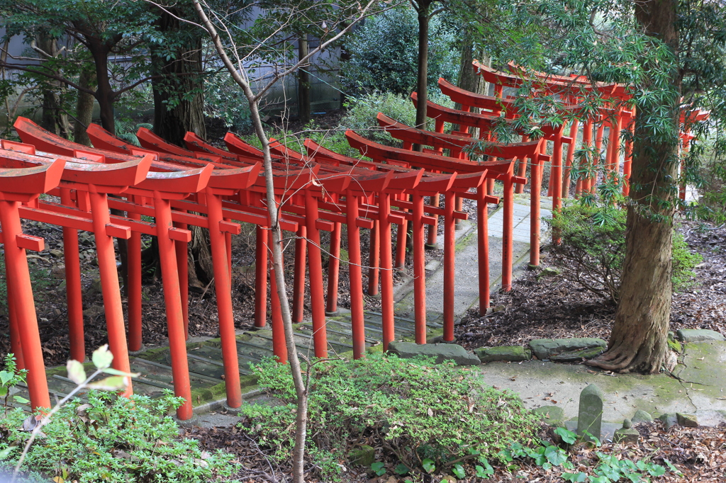 連なる赤鳥居