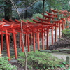連なる赤鳥居