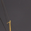 星と電柱