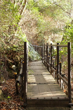 山道