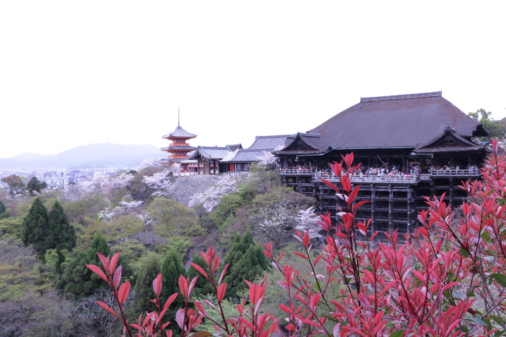 清水寺