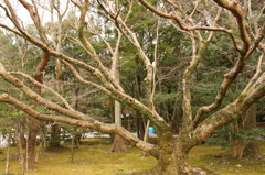 伊勢神宮　内宮