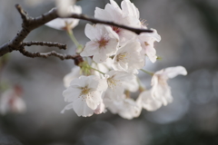 アップも・・・