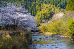 さわやかな風
