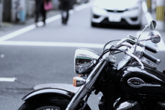 IMGP1229