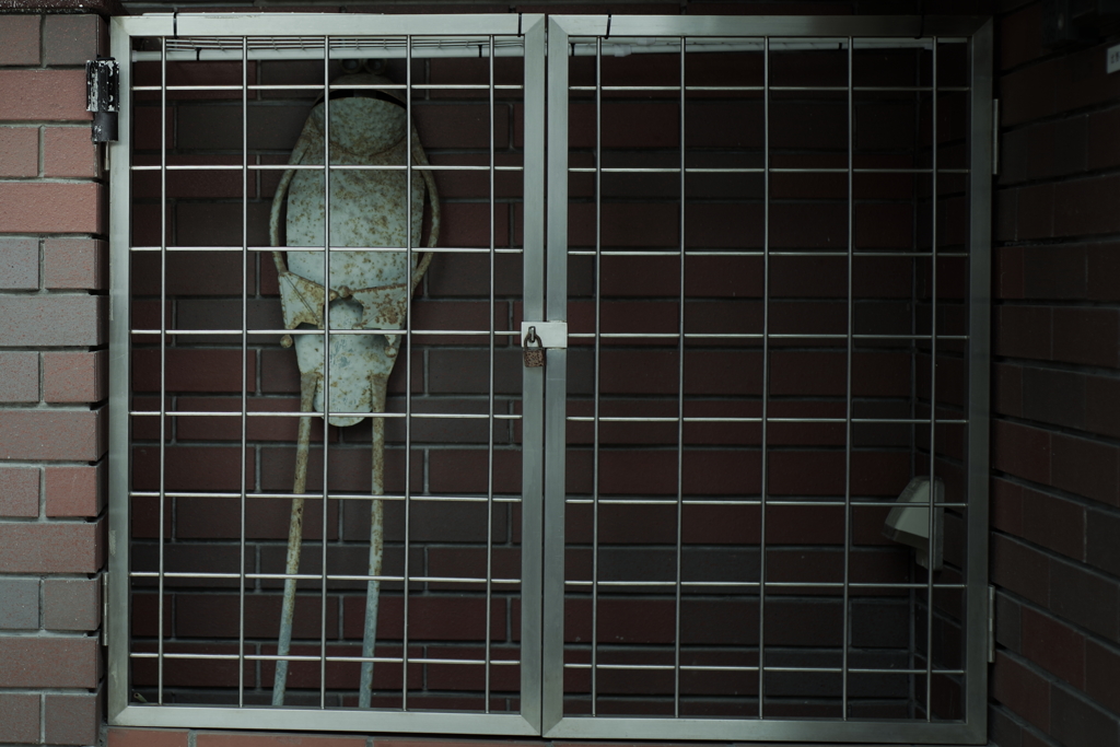 囚われのカエル