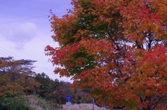 県道１０３号線