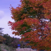県道１０３号線
